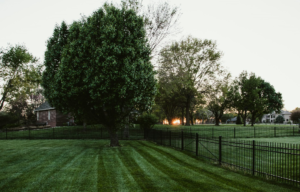 Metal fence surrounding a green grass field with trees