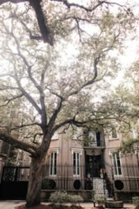 A brown concrete building with a wrought iron fence and a tree nearby.