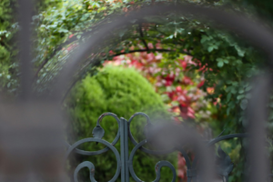 A wrought iron gate with a lush garden background