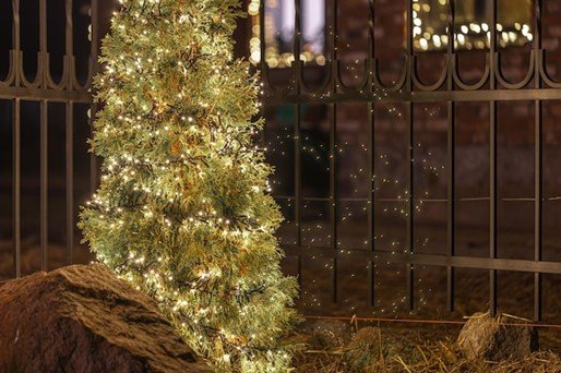 A festive backyard with a decorated Christmas tree, garlands, and a metal fence.