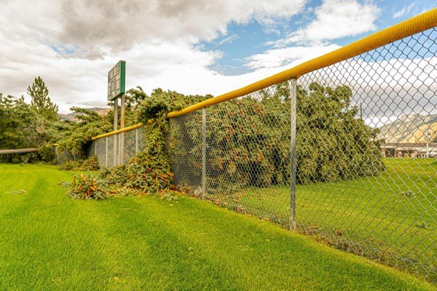 Chain Link Fence at a large property.