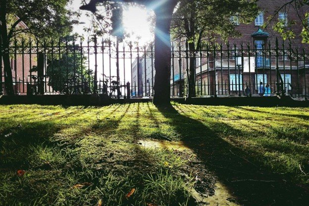 Wrought iron fence providing long-lasting security and style to the property.