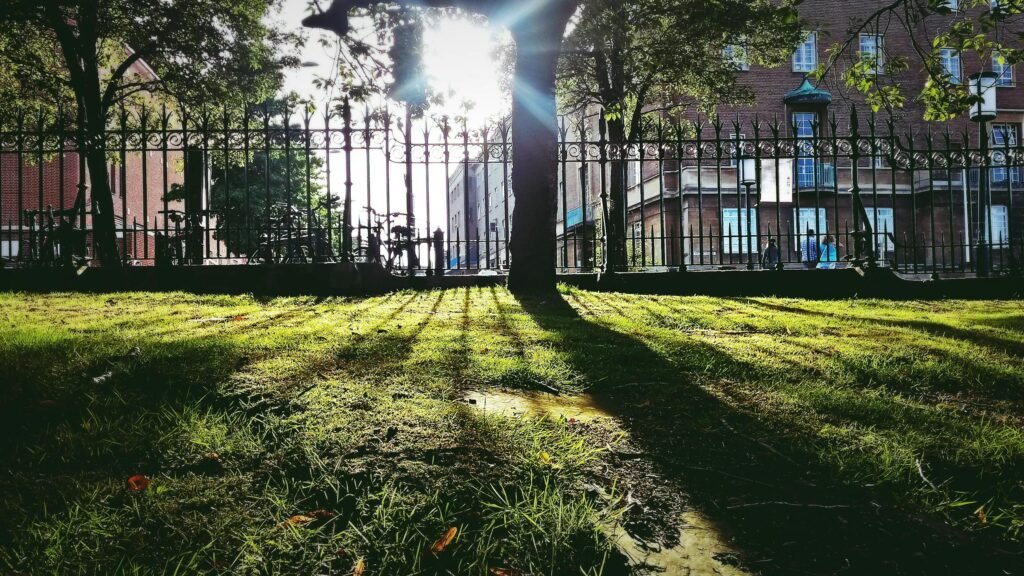 Close-up of expertly crafted fence elements, showcasing superior materials.