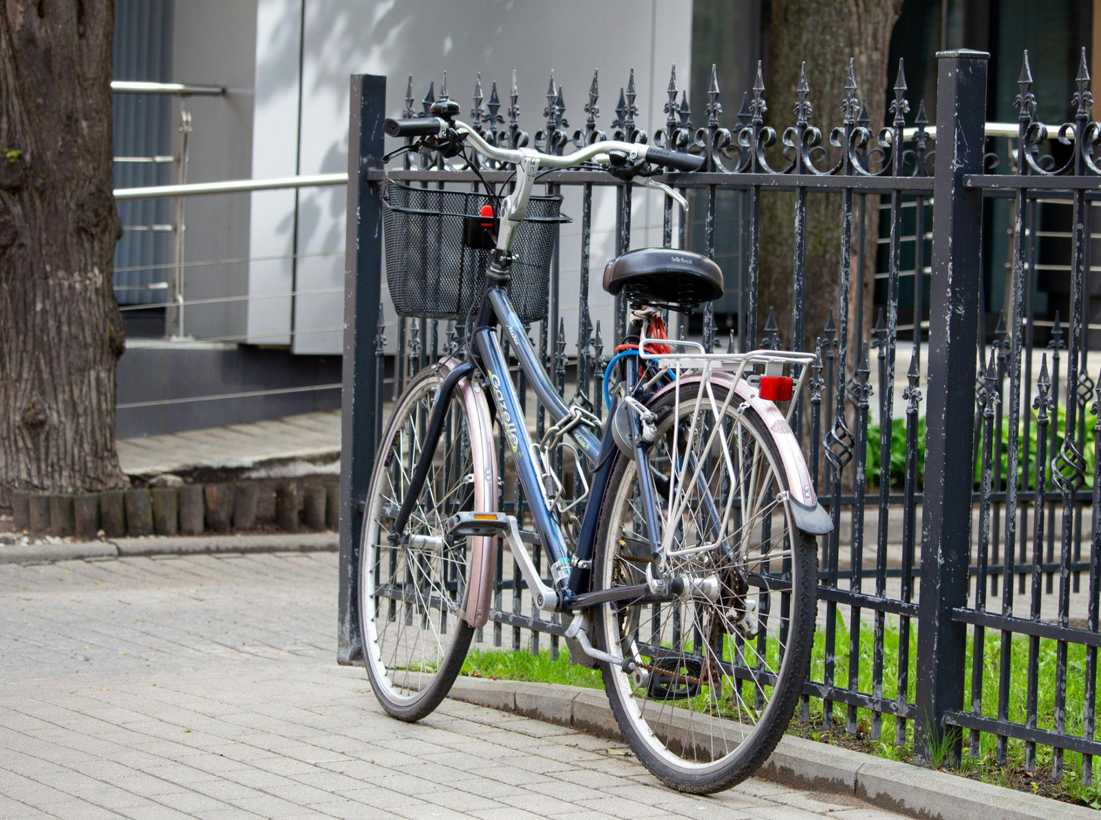 Eco-friendly fence enhancing outdoor aesthetic and environmental responsibility.